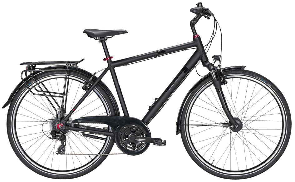 Pegasus Solero SL Diamant Pegasus Solero Sl mit Shimano Kettenschaltung und Nabendynamo