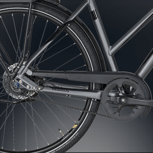 Wartungsarme 8 Gang Shimano Nabenschaltung