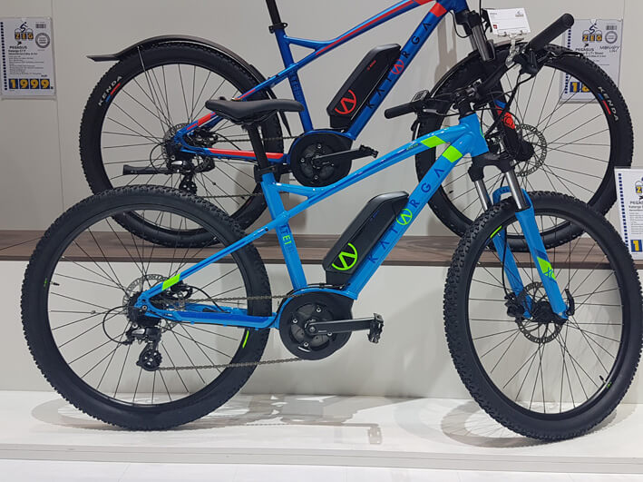 Elektromountainbike mit Bosch Antrieb in blau