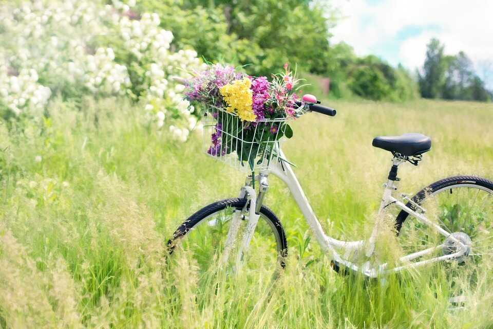 weisses Fahrrad mit Blumen im vorderen Einkaufskorb steht auf einer Wiese