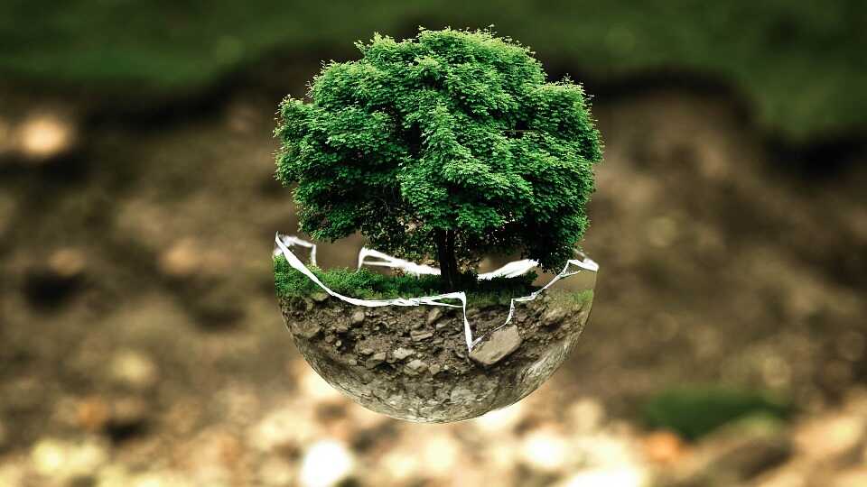 environmental-protection-683437_960_720