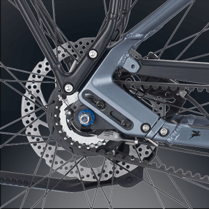 Shimano Schaltung mit Riemanantrieb