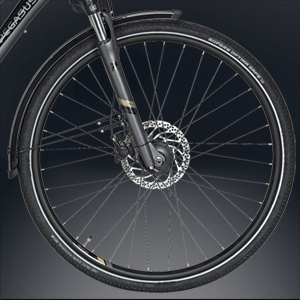 fahrrad pegasus premio sl 8-gang bildschirm