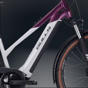 Bosch Powertube Rahmenakku mit 750Wh