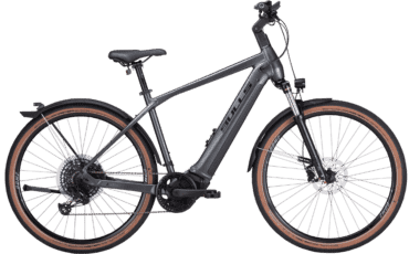 Bulls mit Bosch Perfromance CX Motor und 750Wh Akku