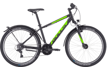 Bulls Wildtail Street mit Shimano Kettenschaltung und Shimano Nabendynamo