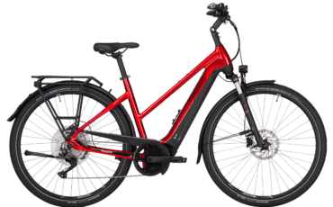 Straßenausgestattes Trekking EBike mit BOsch Performance Line CX Motor und 750Wh Akku