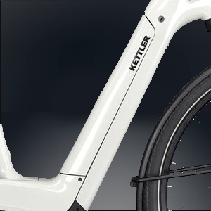 Shimano Intube Akku