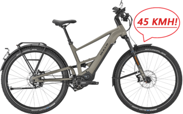 Graues, S-Pedelec mit Pinion Motor