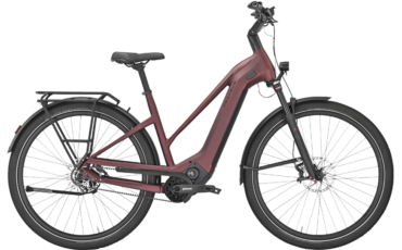 Tiefeinsteiger Ebike mit 12 Gang Pinion Motor und Schaltung in Einem !