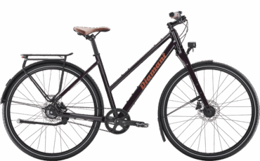 Diamant Damen Fahrrad mit Nabenschaltung in der Farbe Schwarzkirsch
