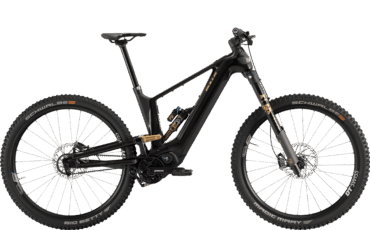 Schwarz, Goldenes, E-MTB mit Pinion Motor und Upside Down Federgabel
