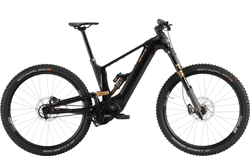 Schwarz, Goldenes, E-MTB mit Pinion Motor und Upside Down Federgabel