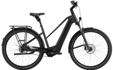 Schwarzes Pegasus trekking Rad mit leistungsstarken Motor