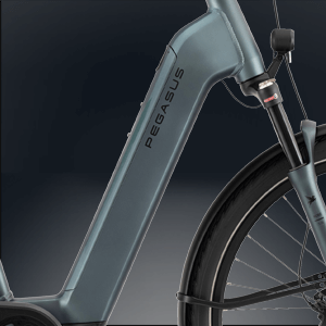 Intube Rahmenakku von Bosch E-Bike