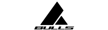 Bulls Logo