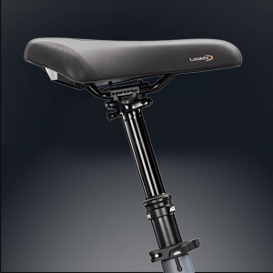 Gefederte und Höhenverstellbare Sattelstütze